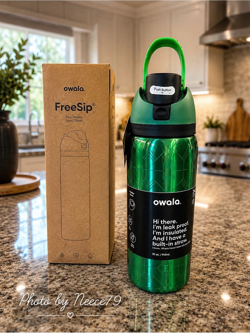 owala FreeSip Insulated Water Bottle - Green